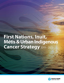 Image of the FNIMUI Cancer Strategy document